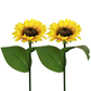 🌻✨ Luces Solares de Girasol para Jardín – Decoración Brillante, IP65, 14 Horas de Luz y Carga 30% Más Rápida ✨