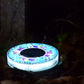 💡🌿 Luces LED de estaca impermeables – decoración exterior para jardín, sensor automático, larga duración. ¡Ilumina tus noches! ✨🌟